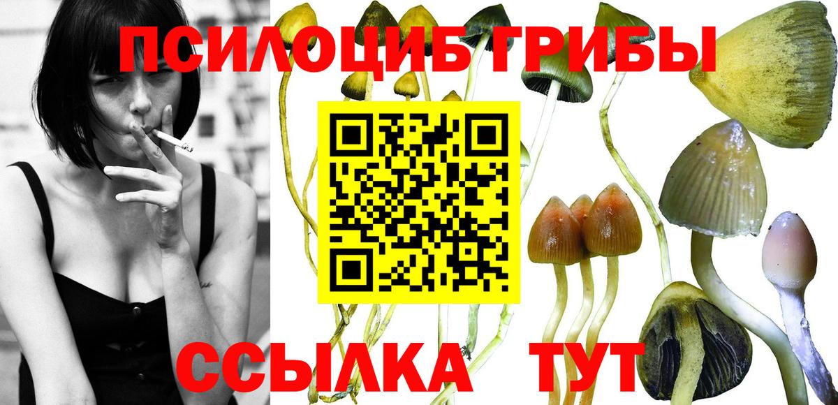 Якутск  Псилоцибиновые грибы Cubensis  Вход с VPN 